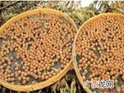 龙眼干怎么制作方法的具体操作步骤 龙眼干怎么制作方法