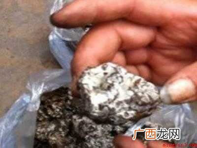 干巴菌怎么清洗干净的具体操作步骤 干巴菌怎么清洗干净