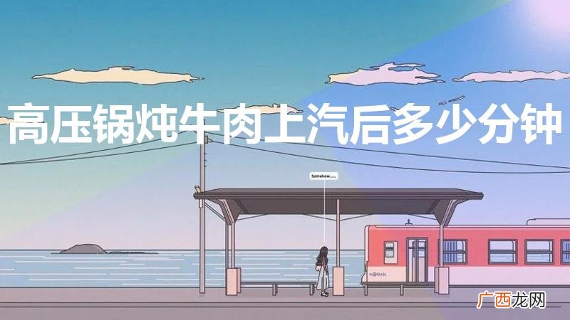 高压锅炖牛肉20分钟能熟 高压锅炖牛肉上汽后多少分钟