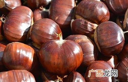板栗发芽能种出来吗 板栗发芽可不可以食用