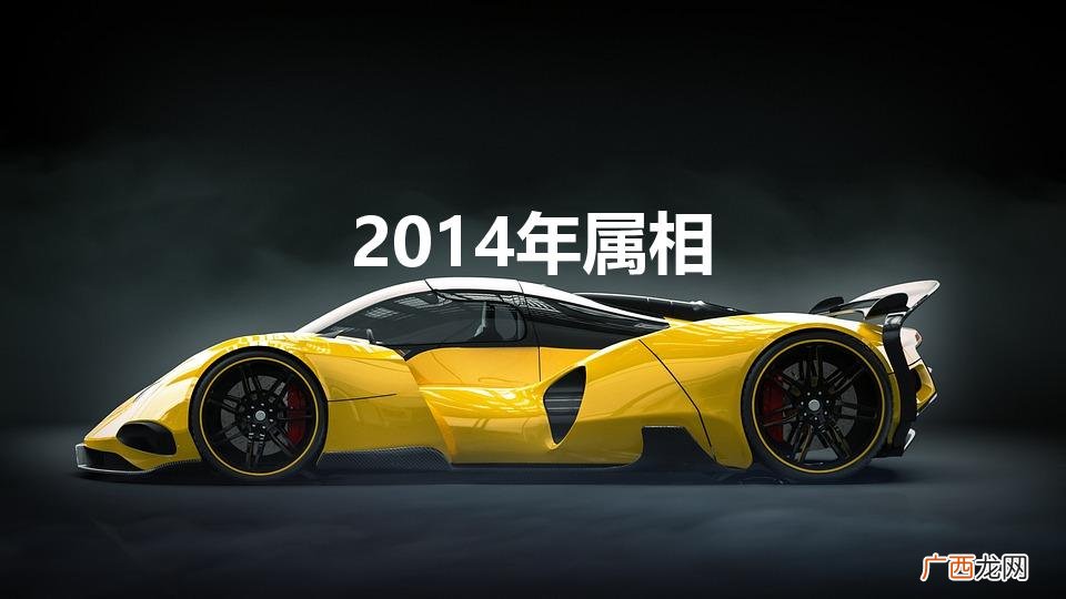 2014年属相是什么生肖 2014年属相