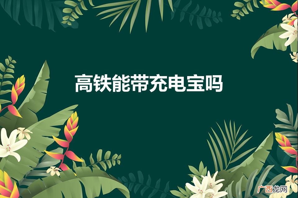 高铁能带充电宝吗（高铁可以带多大的充电宝)