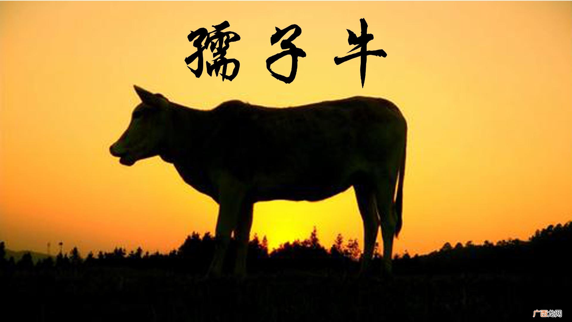 孺子牛是形容哪一类人的 孺子牛是指什么样的人