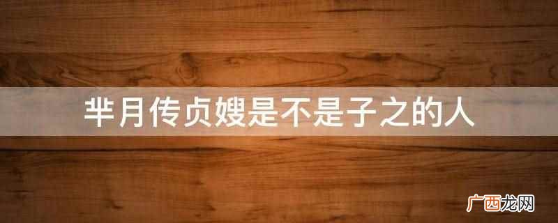 芈月传贞嫂不是子之的人 芈月传贞嫂是不是子之的人