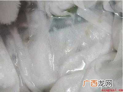 白衣服有油渍怎么洗干净