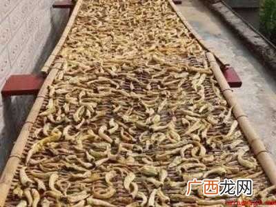 青辣椒怎么晒成白辣椒的具体操作步骤 青辣椒怎么晒成白辣椒