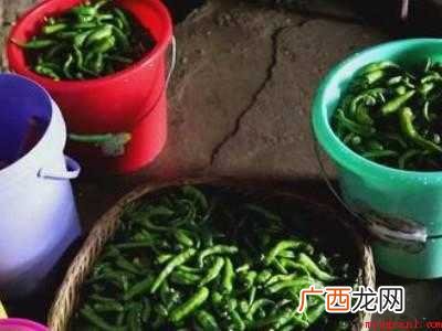 青辣椒怎么晒成白辣椒的具体操作步骤 青辣椒怎么晒成白辣椒