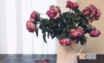 鲜花蔫了怎么弄成干花自然风干法 鲜花蔫了怎么恢复
