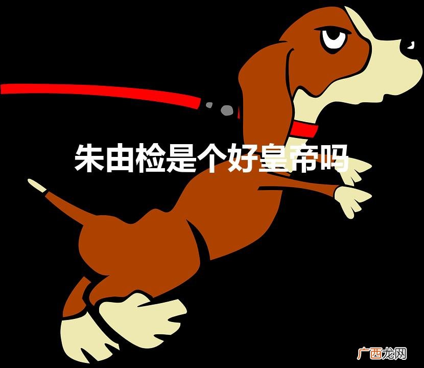 朱由检是个好皇帝吗（朱由检是个昏君吗)