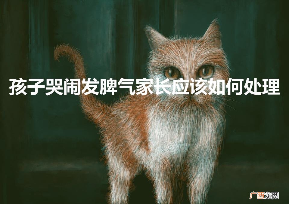 孩子总爱发脾气家长怎么办 孩子哭闹发脾气家长应该如何处理