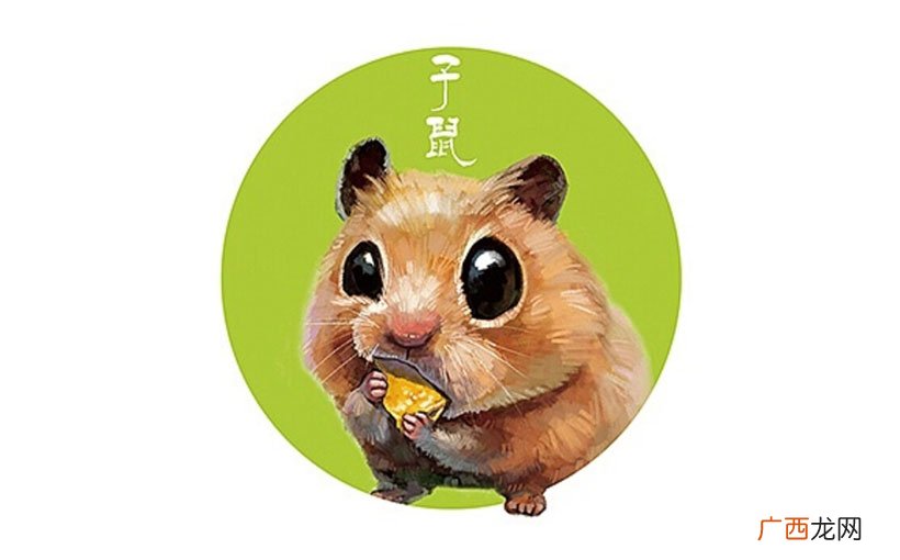 属鼠的三个财运贵人 鼠的贵人是什么生肖