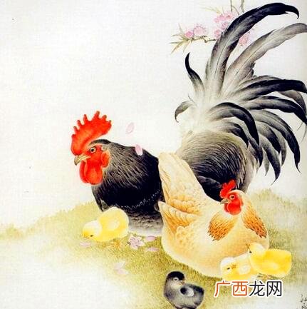 事业强，贵人愿意帮一把 2022年运势最好的生肖要翻身
