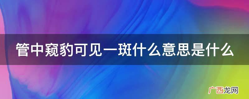猫眼为何看到屋外的全貌 管中窥豹可见一斑什么意思