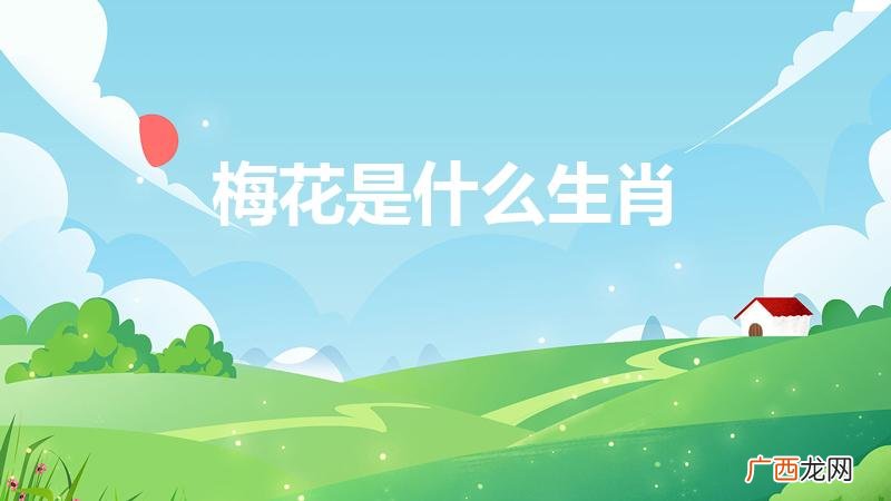 梅花代表什么生肖 梅花代表的生肖是什么 梅花是什么生肖