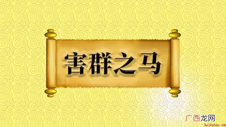 原来指危害马群的劣马,现在比喻危害社会或集体的人,出自《庄子 害群之马怎么理解