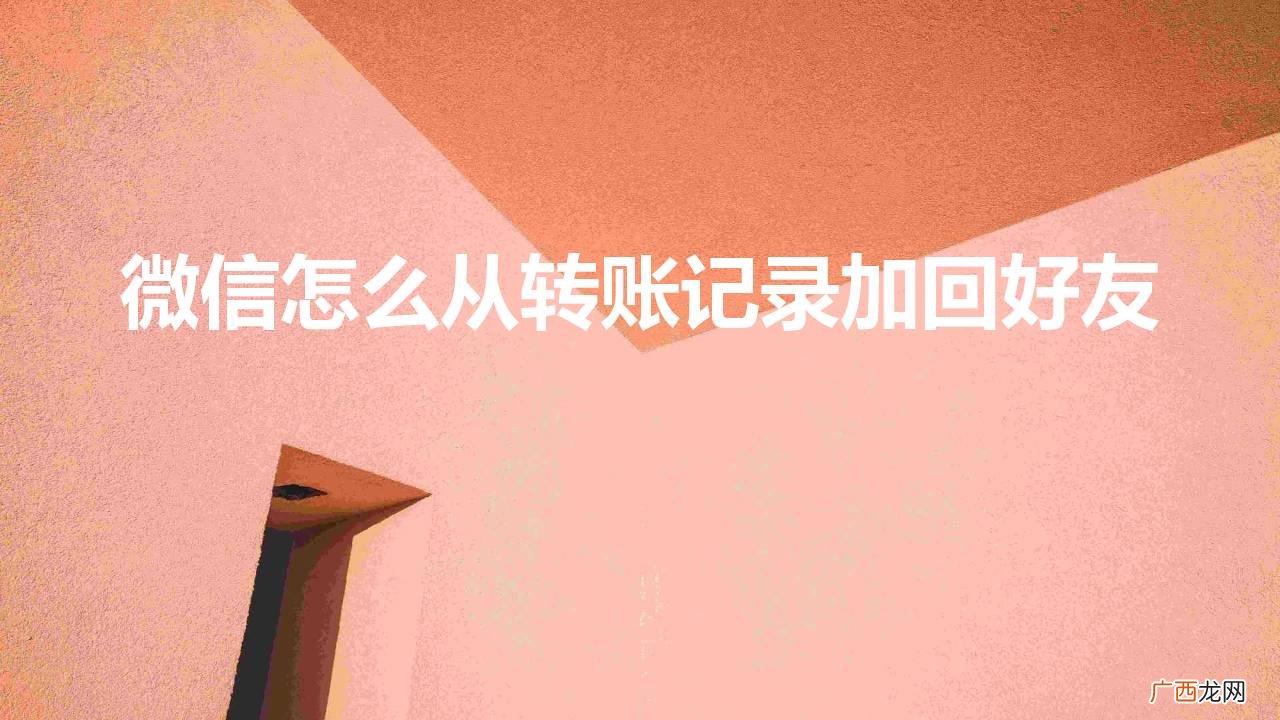微信转账记录如何加回好友 微信怎么从转账记录加回好友