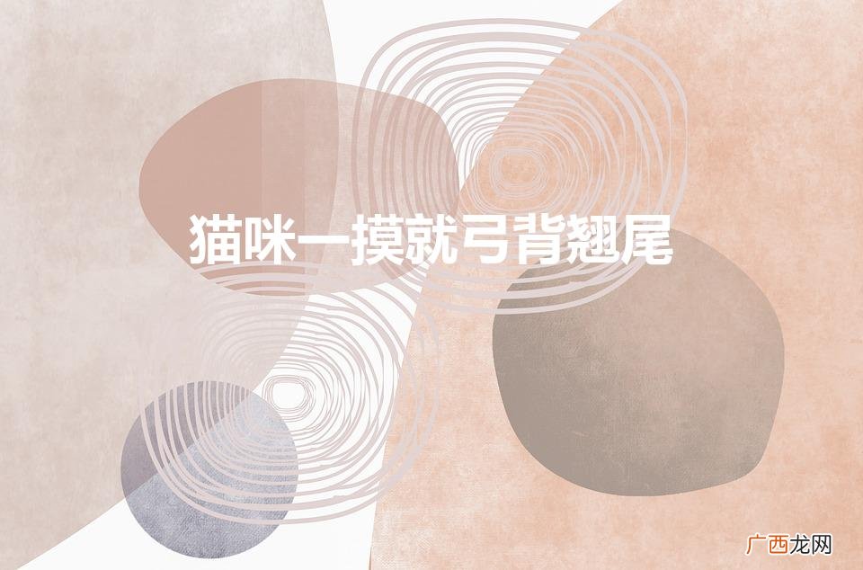 猫为啥一摸它就弓背竖尾巴 猫咪一摸就弓背翘尾