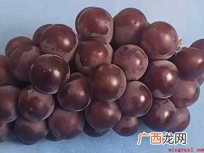 葡萄怎么放冰箱保鲜的具体操作步骤 葡萄怎么放冰箱保鲜