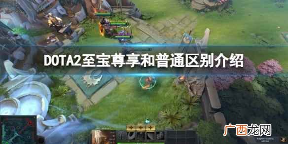 至宝尊享和非尊享有什么区别 dota2纯正至宝和普通有什么区别