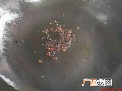 油起泡沫怎么办解决的具体操作步骤 油起泡沫怎么办解决