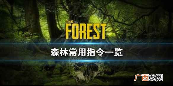 森林游戏常见指令有哪些森林常用指令一览 森林游戏常用指令有哪些