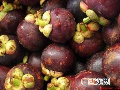 夏天山竹怎么保存的具体操作步骤 夏天山竹怎么保存