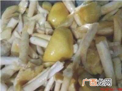 野生松菌怎么长期保存的具体操作步骤 野生松菌怎么长期保存