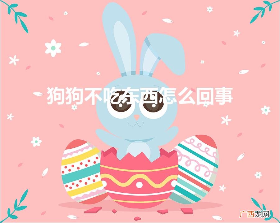 狗不吃食是怎么回事 狗狗不吃东西怎么回事
