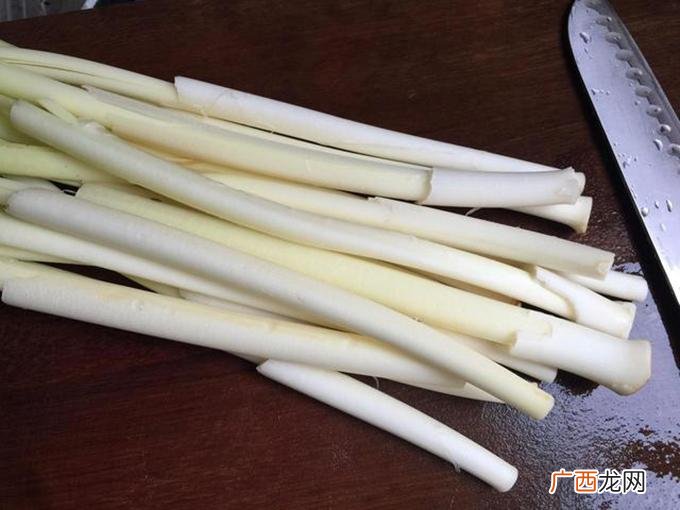 蒲儿菜的功效与作用 蒲儿菜这种野菜又被称作什么