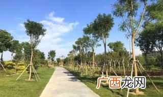 沙河公园景观建设即将开放 商丘沙河公园在哪里