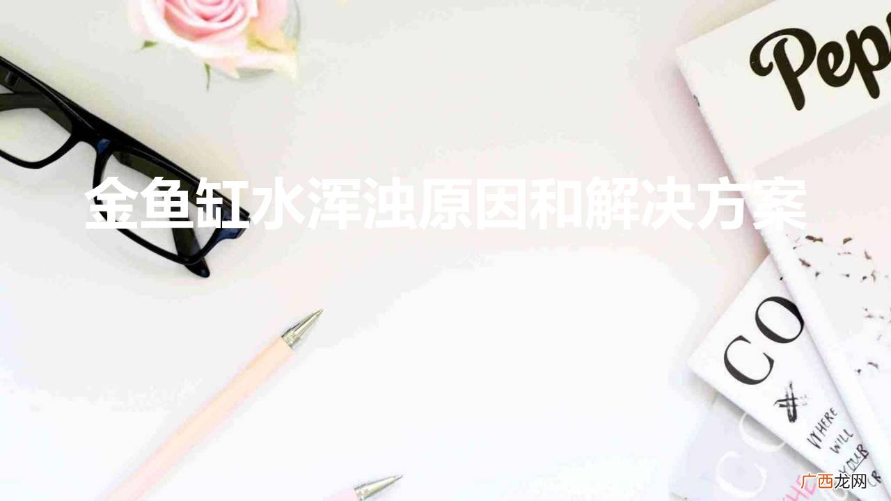 小鱼缸水浑浊怎么处理 金鱼缸水浑浊原因和解决方案