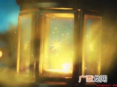 白天如何捕捉甲虫的具体操作步骤 白天如何捕捉甲虫