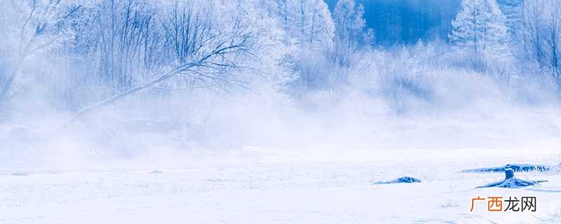 雪枫的故事 雪枫的寓意