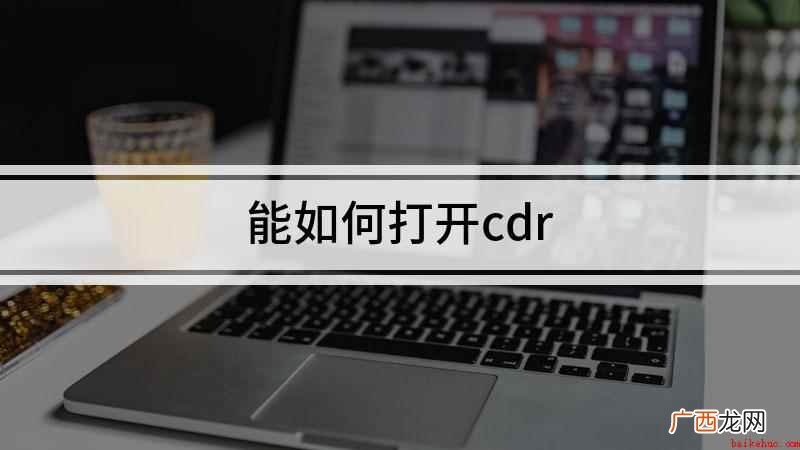 戴尔成就5890,适用系统:windows10家庭版 能如何打开cdr