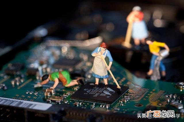 蚂蚁会统治地球吗 如果人类在地球上体型和蚂蚁一样