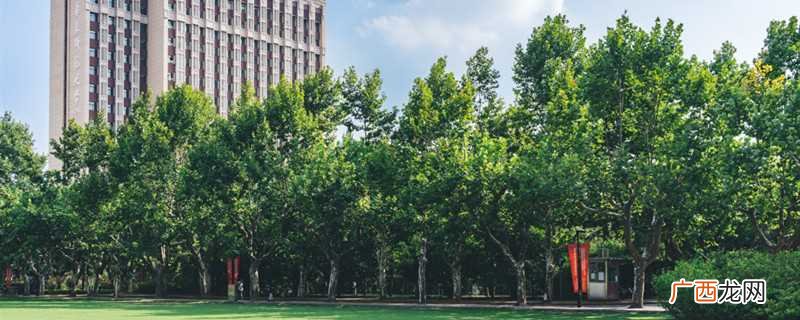 山东外国语职业技术大学是本科吗 山东外国语大学是几本