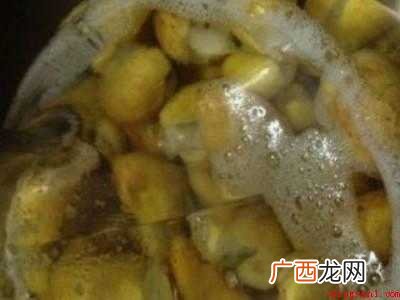 黄皮核泡酒制作方法和配方