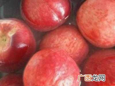 水蜜桃保存的具体操作步骤 水蜜桃保存