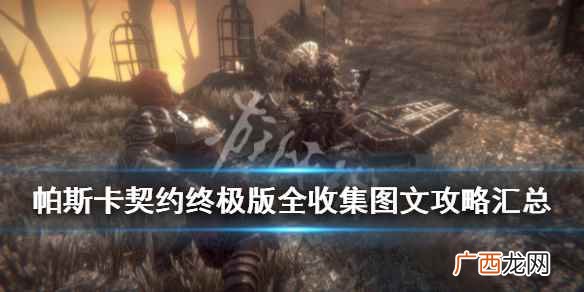帕斯卡契约终极版全收集图文攻略汇总 全关卡地图标注一览 系统解析