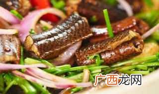 鳝鱼的做法 红烧黄鳝的做法