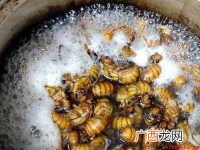 知了猴怎么清洗的具体操作步骤 知了猴怎么清洗