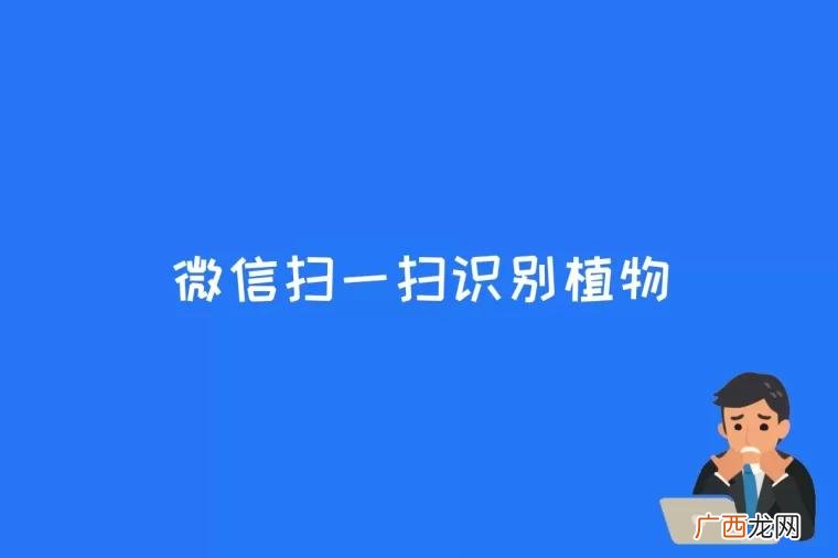 微信原生扫一扫功能有哪些 微信扫一扫识别植物