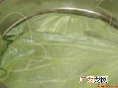 整张荷叶怎么保存的具体操作步骤 整张荷叶怎么保存