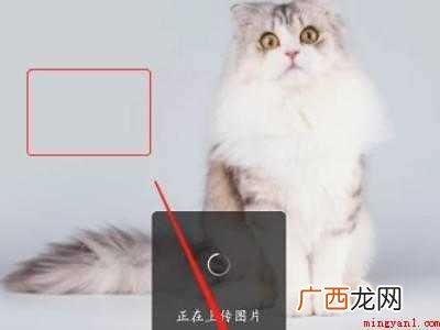 演示机型:Iphone 12 微信一键去水印怎么用