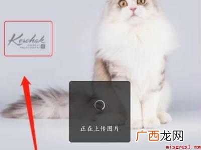 演示机型:Iphone 12 微信一键去水印怎么用