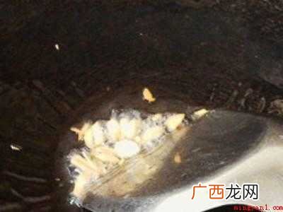 丝瓜烧汤怎么烧好吃的具体操作步骤 丝瓜烧汤怎么烧好吃