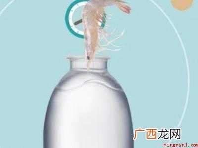 买多了生虾要怎么保存的具体操作步骤 买多了生虾要怎么保存