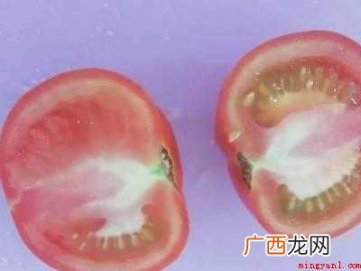 西红柿怎么切丁的具体操作步骤 西红柿怎么切丁
