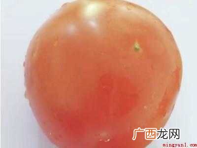 西红柿怎么切丁的具体操作步骤 西红柿怎么切丁