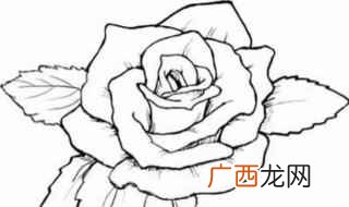 花怎么画 美丽的花画法